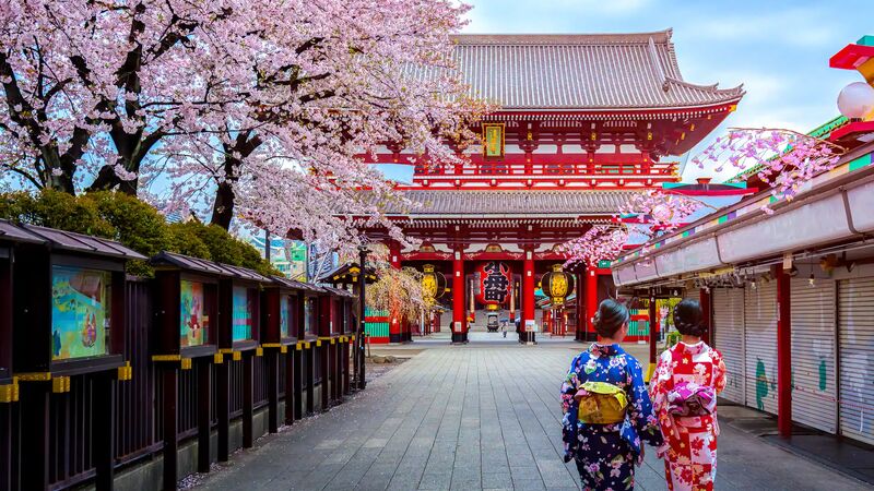 BİR UZAK DOĞU MASALI JAPONYA